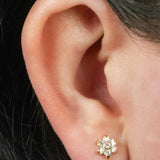 Titanium Internally Threaded Labrets 1.2mm - Titanium Jewelled Primrose Flower with Solitaire Drop