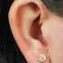 Titanium Internally Threaded Labrets 1.2mm - Titanium Jewelled Primrose Flower with Solitaire Drop