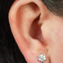 Titanium Internally Threaded Labrets 1.2mm - Titanium Jewelled Primrose Flower with Solitaire Drop