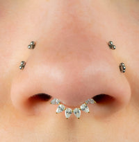 Titanium Encrusted Diadem Jewelled Hinged Clicker Ring