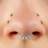 Titanium Encrusted Diadem Jewelled Hinged Clicker Ring