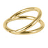 Titanium Double Band Hinged Clicker Ring