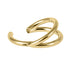 Titanium Double Band Hinged Clicker Ring