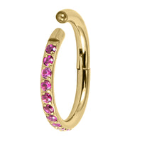 Gold Titanium 1.2mm Kai Pave Set Jewelled Edge Hinged Clicker Ring