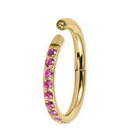 Gold Titanium 1.2mm Kai Pave Set Jewelled Edge Hinged Clicker Ring