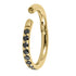 Gold Titanium 1.2mm Kai Pave Set Jewelled Edge Hinged Clicker Ring