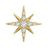 Titanium Internally Threaded Labrets 1.2mm - Jewelled Stjarna
