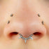 Titanium Genevieve Hinged Clicker Ring