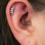 Titanium Internally Threaded Labrets 1.2mm - Titanium Claw Set 5 CZ Jewel Marquise Fan