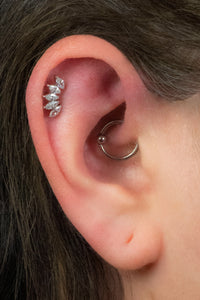 Titanium Claw Set 5 CZ Jewel Marquise Fan for Internal Thread shafts in 1.2mm