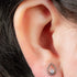 Titanium Internally Threaded Labrets 1.2mm - Titanium Jewelled Asia Dewdrop