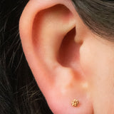 Titanium Threadless Labrets - Titanium (Bend-fit) Claw Set CZ Jewels 1.0mm Gauge - 5-6mm Length