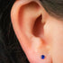 Titanium Threadless Labrets - Titanium (Bend-fit) Claw Set CZ Jewels 0.8mm Gauge - 5-8mm length