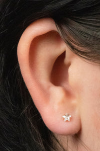 Titanium Threadless Labrets - Titanium (Bend-fit) Claw Set CZ Jewelled Star