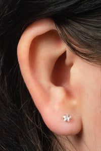 Titanium Threadless Labrets - Titanium (Bend-fit) Claw Set CZ Jewelled Star