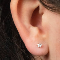 Titanium Internally Threaded Labrets 1.2mm - 4mm Claw Set CZ Jewelled Star