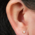 Titanium Internally Threaded Labrets 1.2mm - Titanium French Cut Diamond