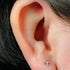 Titanium Internally Threaded Labrets 1.2mm - Titanium Jewelled Guiding Star