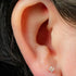 Titanium Internally Threaded Labrets 1.2mm - Titanium Ixora Flower