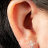 Titanium Internally Threaded Labrets 1.2mm - Titanium Claw Set Jewelled Lotus Solitaire Drop
