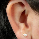 Titanium Internally Threaded Labrets 1.2mm - Titanium Claw Set Marquise Duo Top
