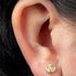 Titanium Internally Threaded Labrets 1.2mm - Titanium Marquise Ivy Leaves Trio and Solitaire Top