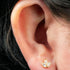Titanium Internally Threaded Labrets 1.2mm - Titanium Claw Set Marquise Jewelled Leaves Trio