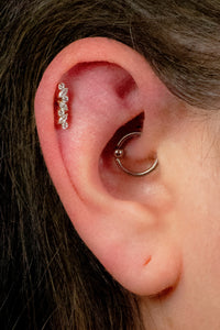 Titanium Internal Ostara Top