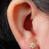 Titanium Internally Threaded Labrets 1.2mm - Titanium Claw Set Pearl Primrose Flower