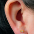 Titanium Internally Threaded Labrets 1.2mm - Titanium Claw Set Jewelled Radiant Sunset