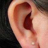 Titanium Internally Threaded Labrets 1.2mm - Titanium Claw Set Round Pearl
