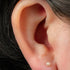 Titanium Internally Threaded Labrets 1.2mm - Titanium Claw Set Round Pearl