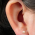 Titanium Internally Threaded Labrets 1.2mm - Titanium Claw Set Round Pearl