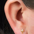 Titanium Internal Jewelled Sacred Lotus