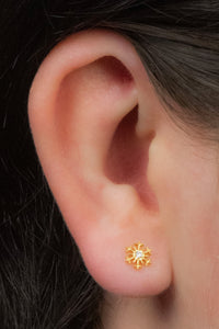 Titanium Claw Set Jewelled Snowflake Top for Internal Thread shafts in 1.2mm