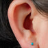 Titanium Internally Threaded Labrets 1.2mm - Titanium Bezel Set Turquoise Stone Top