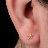 Titanium Internal Lorraine Starfish Top