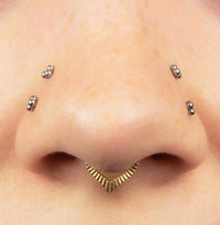Titanium Luminance Rekia V-Shape Hinged Clicker Ring