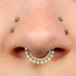 Titanium Lunar Opal Hinged Clicker Ring