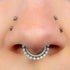 Titanium Lunar Opal Hinged Clicker Ring