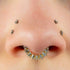 Titanium Claw Set Moonlight Jewelled Hinged Clicker Ring