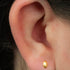 Titanium Internally Threaded Labrets 1.2mm - Faceted Marquise