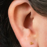 Titanium Threadless (Bend fit) Asia Trinity