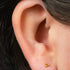 Titanium Threadless Labrets - Titanium (Bend-fit) Asia Trinity