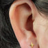 Titanium Internally Threaded Labrets 1.2mm - Titanium Astrid Star