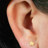 Titanium Internal Hammered Star