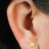 Titanium 1.2mm Internally Threaded Labrets - Hammered Star