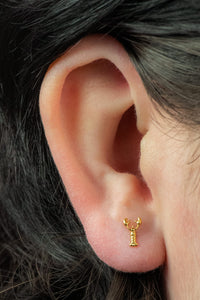 Titanium Internally Threaded Labrets 1.2mm - Titanium Leonardo Da Pinchi