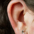 Titanium Internal Luminance Crescent Moon