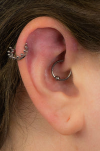Titanium Princess Crown Hinged Clicker Ring